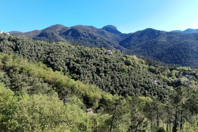 Attico in Via Olivella Camminata 36, Casarza Ligure - Foto 1