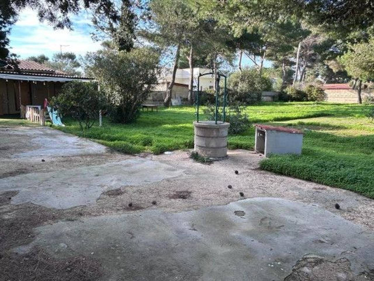 immagine annuncio 11 di 14