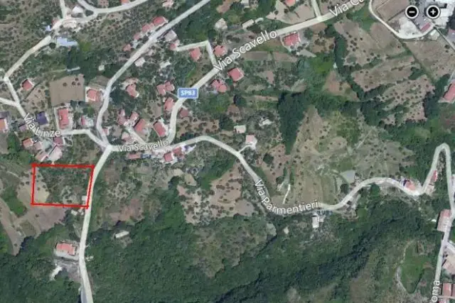 insertion image