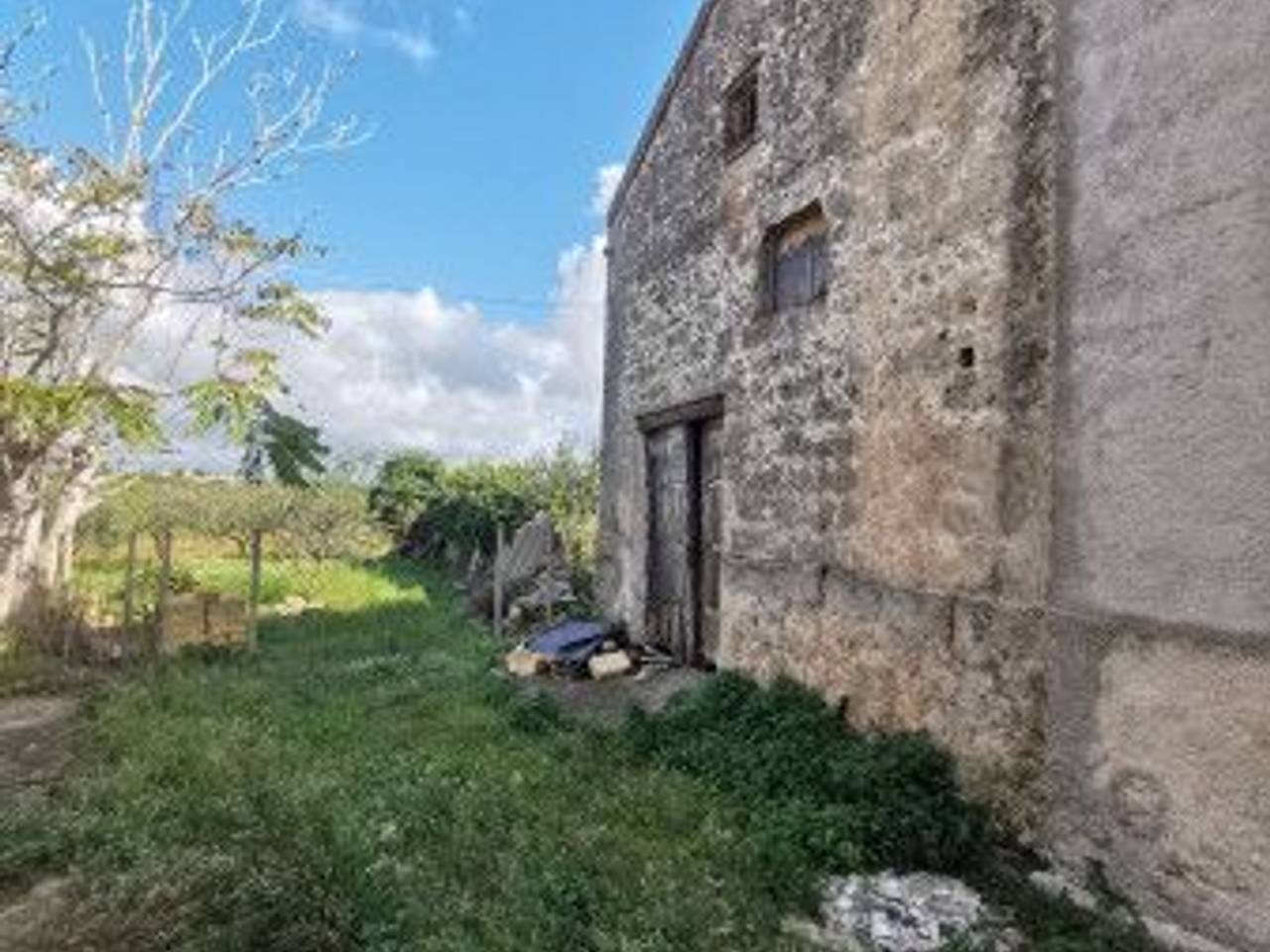 immagine annuncio 5 di 12