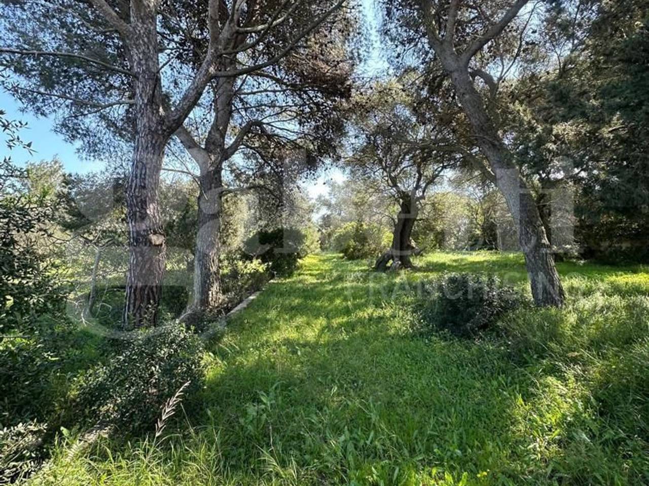 immagine annuncio 6 di 7