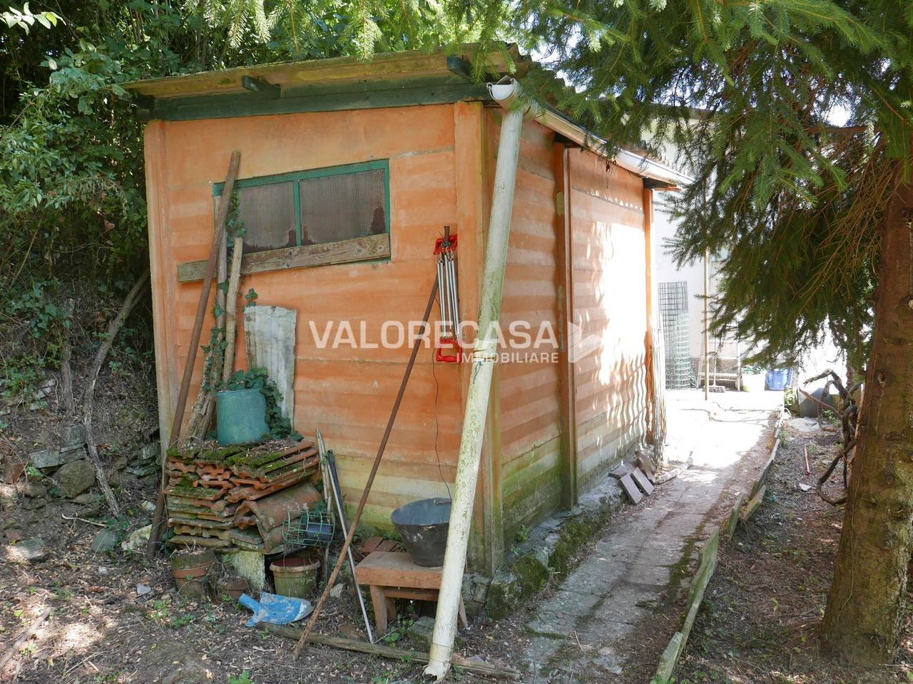 immagine annuncio 8 di 15