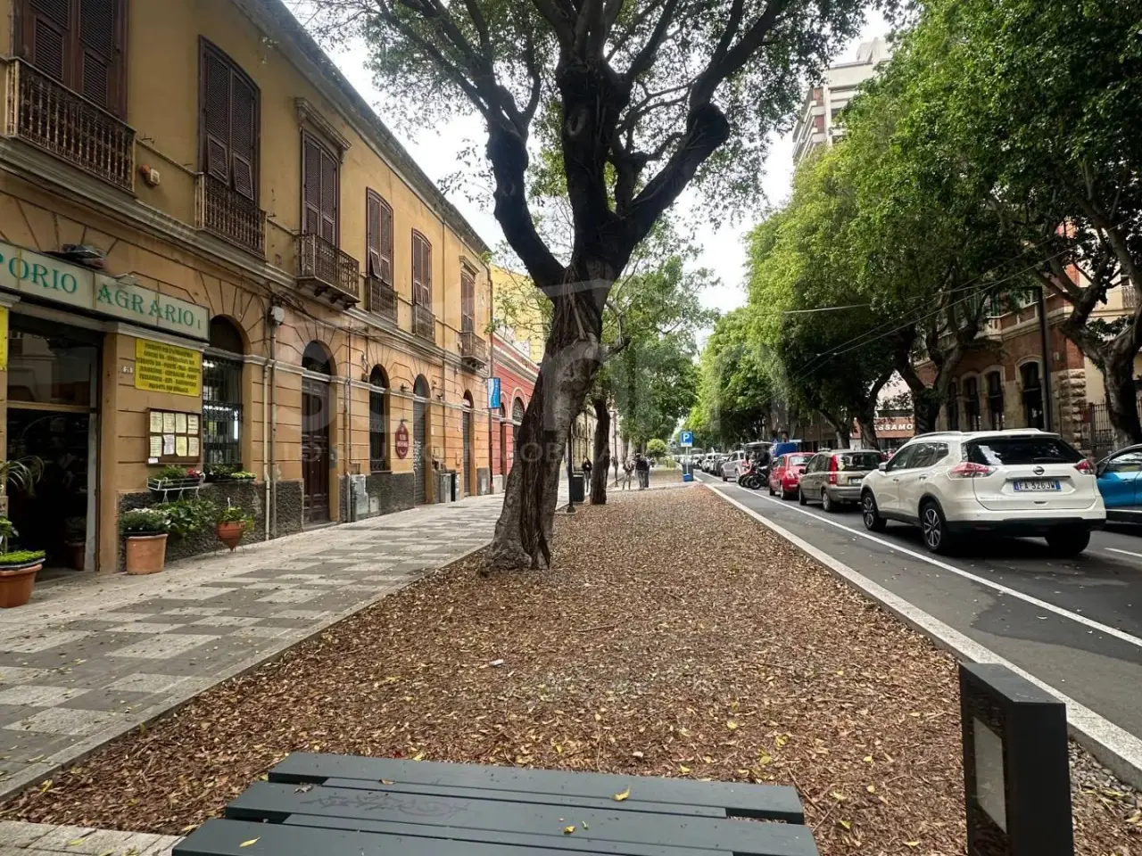 Negozio in Viale Trieste 20, Cagliari, {3} - Foto 2