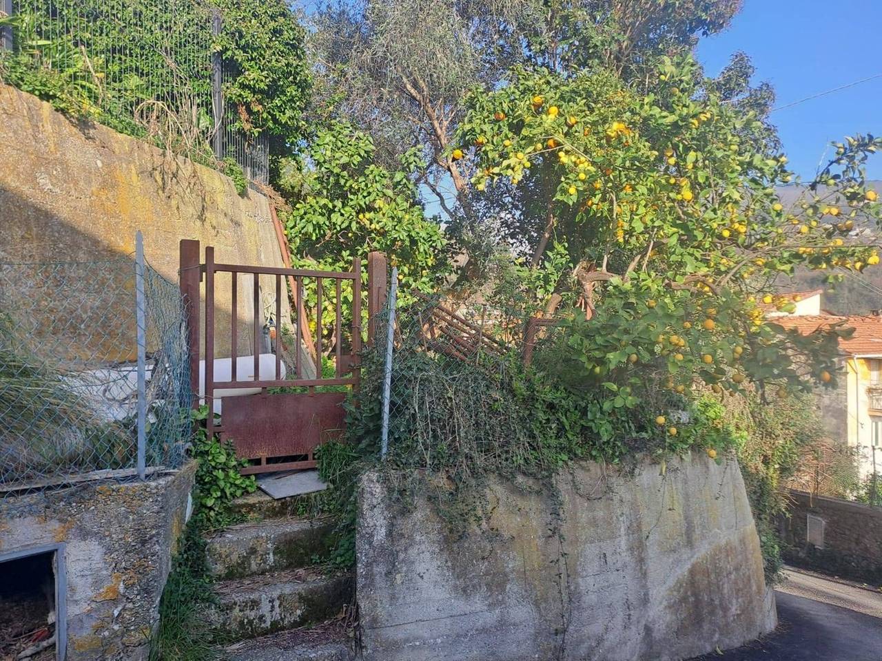 immagine annuncio 14 di 15