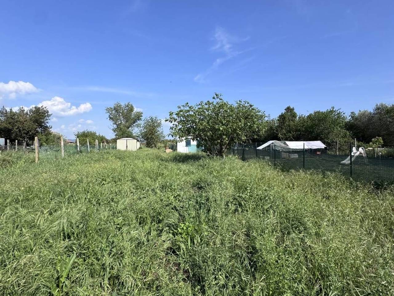 immagine annuncio 1 di 7