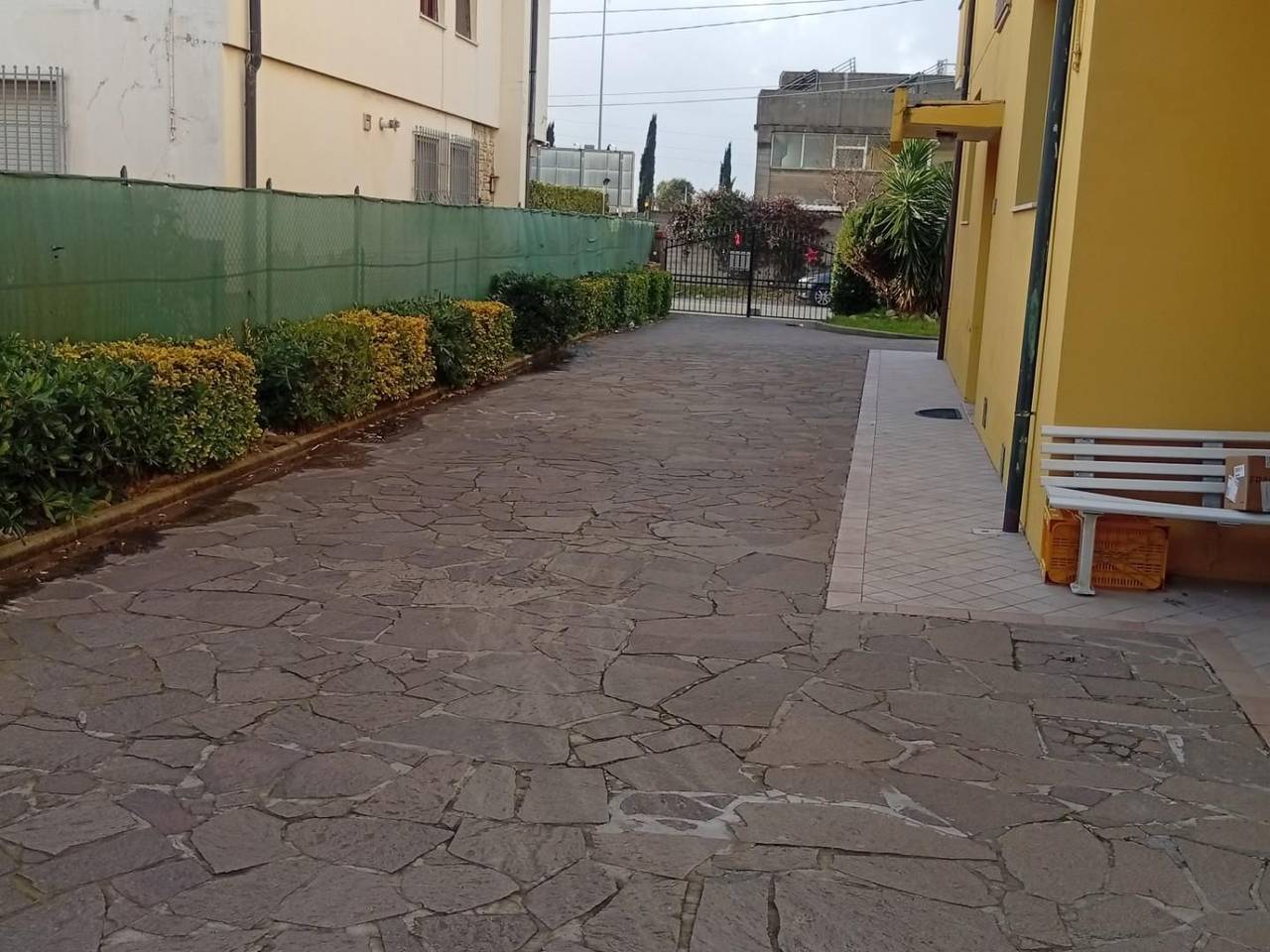 immagine annuncio 13 di 14