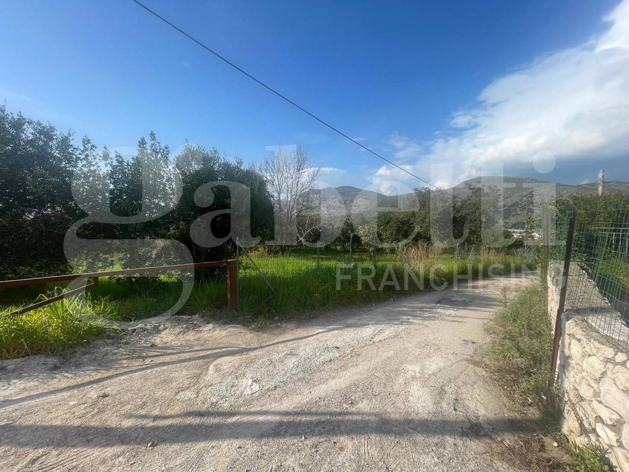 immagine annuncio 3 di 12