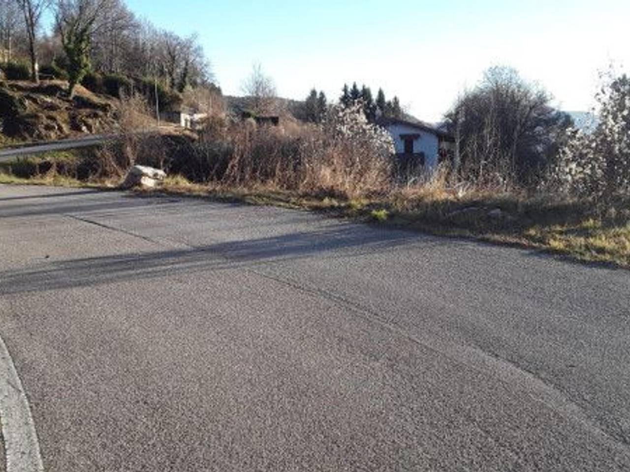 immagine annuncio 4 di 8