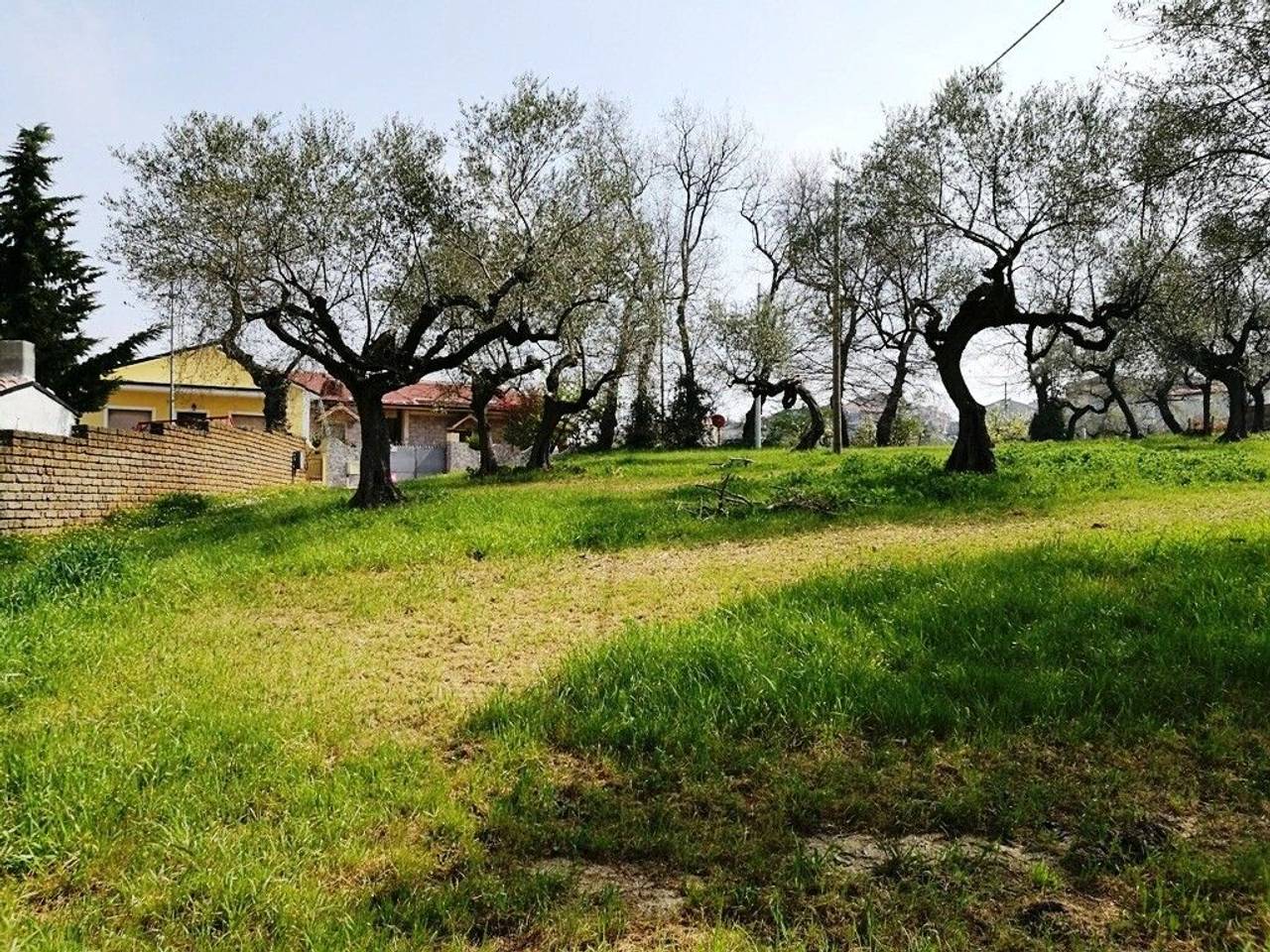 immagine annuncio 11 di 14