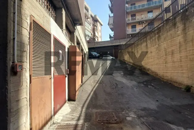 insertion image