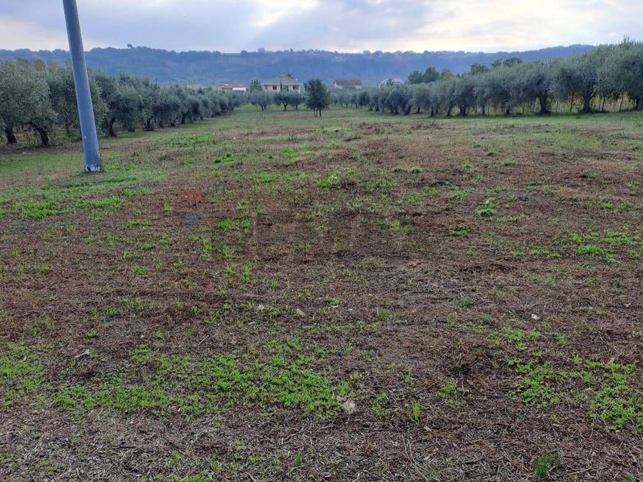 immagine annuncio 5 di 11