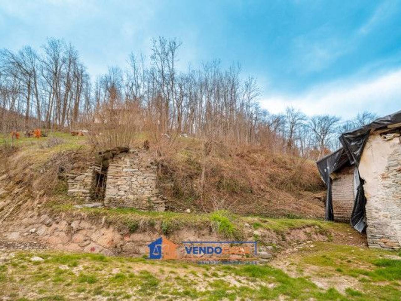 immagine annuncio 5 di 6