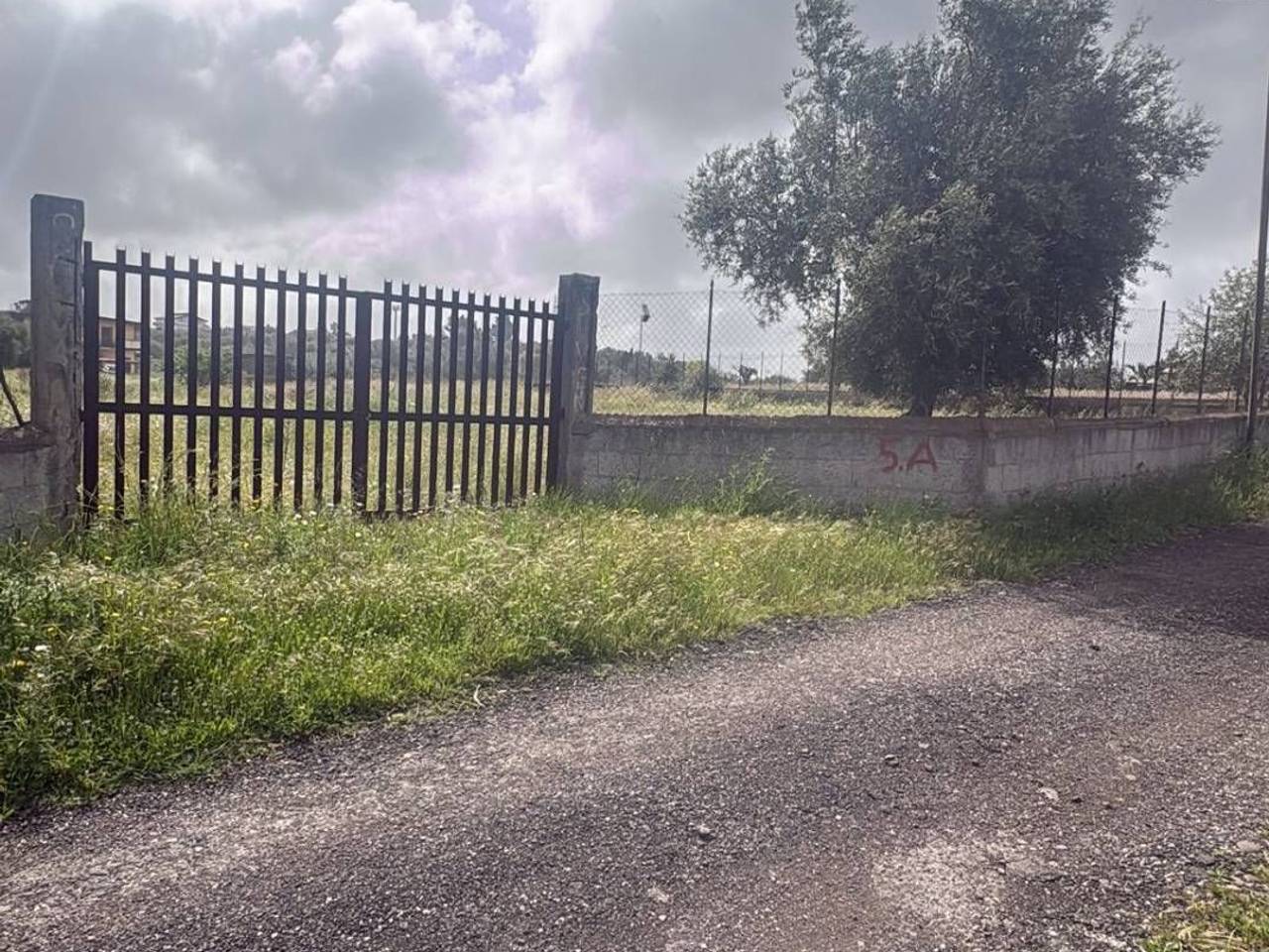 immagine annuncio 2 di 7