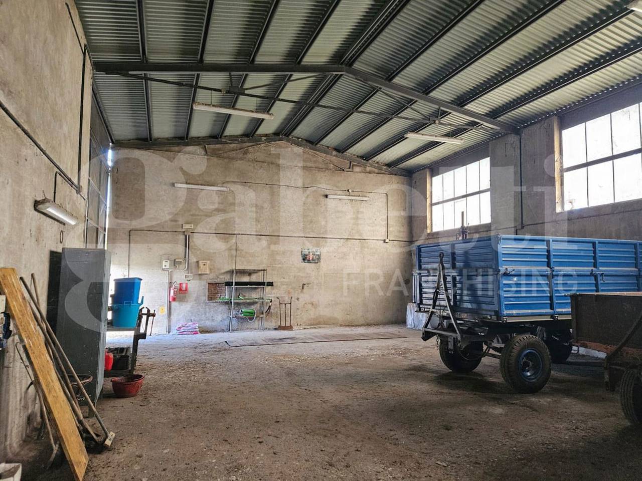 immagine annuncio 7 di 15