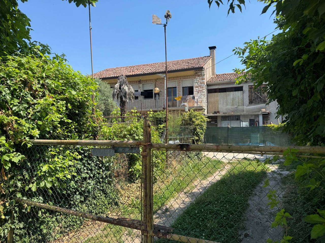 immagine annuncio 2 di 11