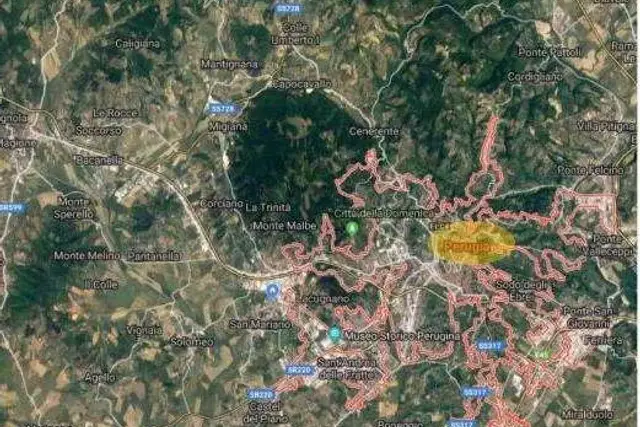 insertion image