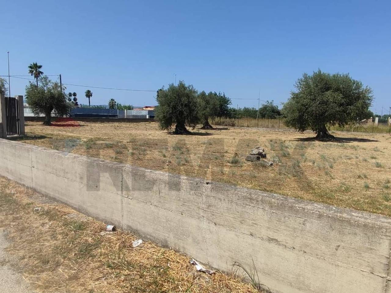 immagine annuncio 6 di 8