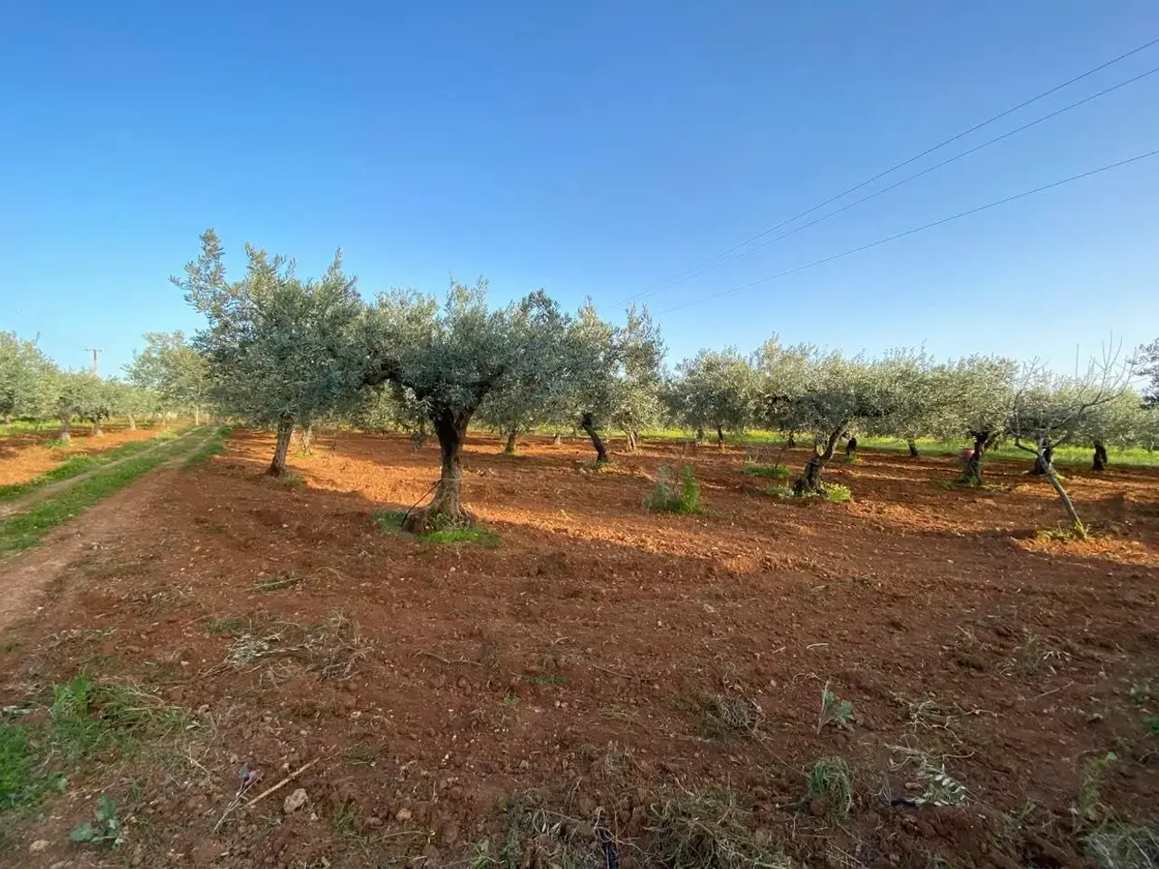 Magazzino in Castelvetrano, Trapani, Sicilia, 91022, Italia, Castelvetrano, {3} - Foto 1