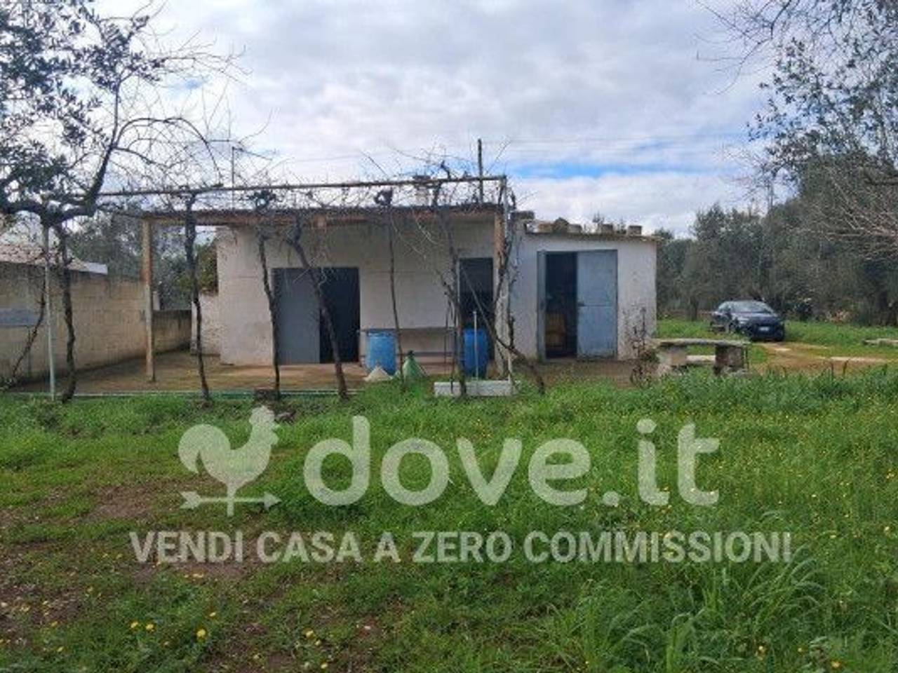 immagine annuncio 1 di 9