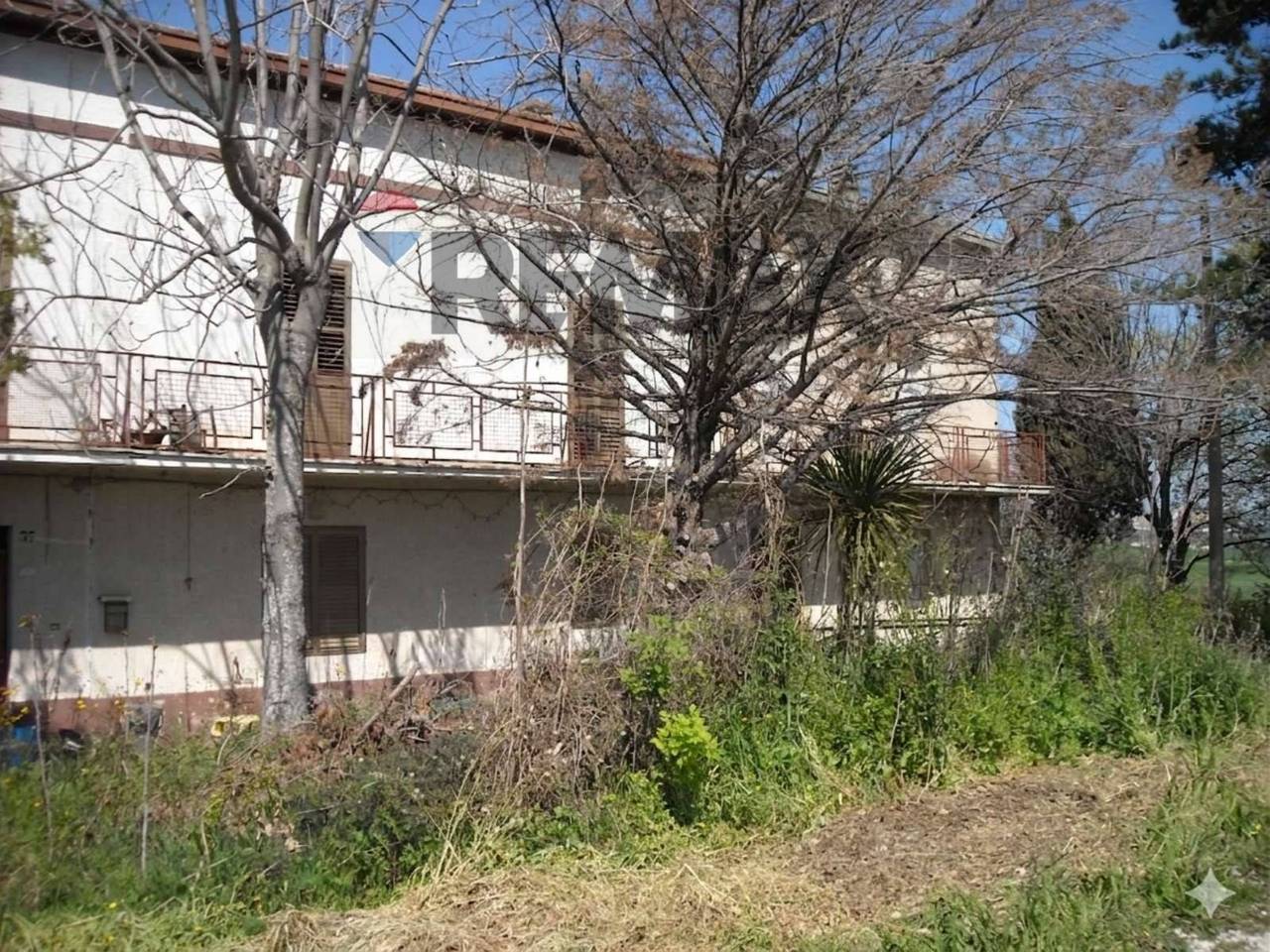 immagine annuncio 3 di 11