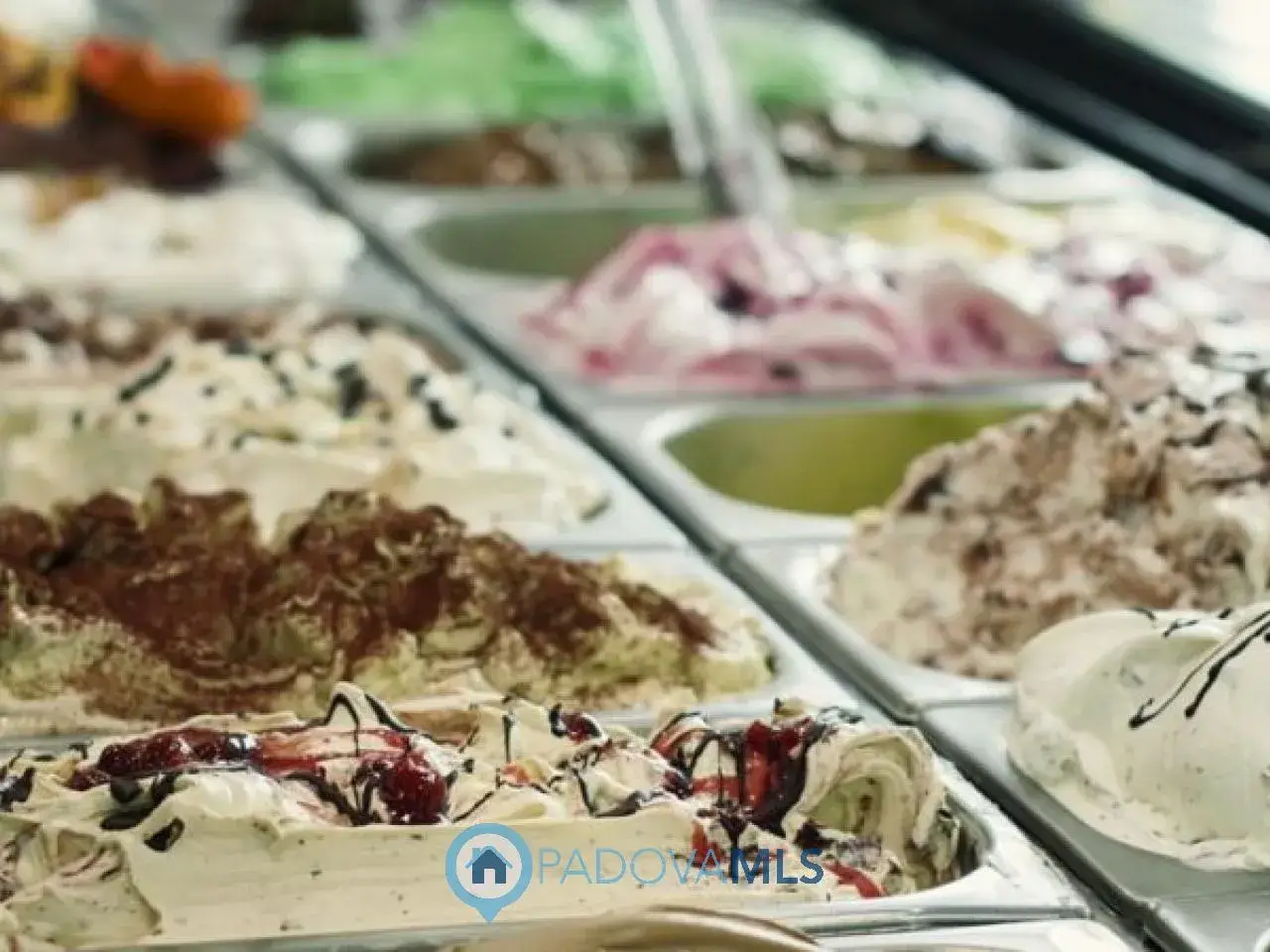 Gastronomia in Prato della Valle, Padova, {3} - Foto 1