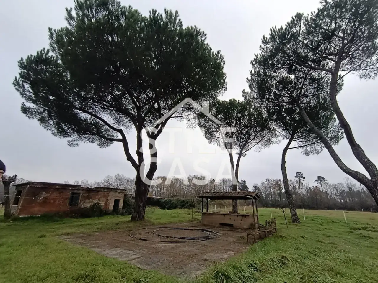 Azienda agricola in 56022 Galleno Pi 56022, Castelfranco Di Sotto, {3} - Foto 1