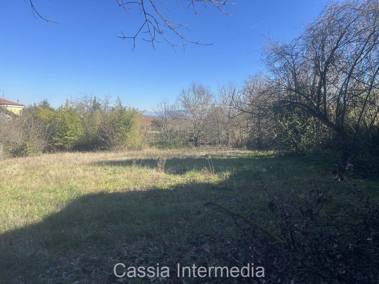 immagine annuncio 8 di 14